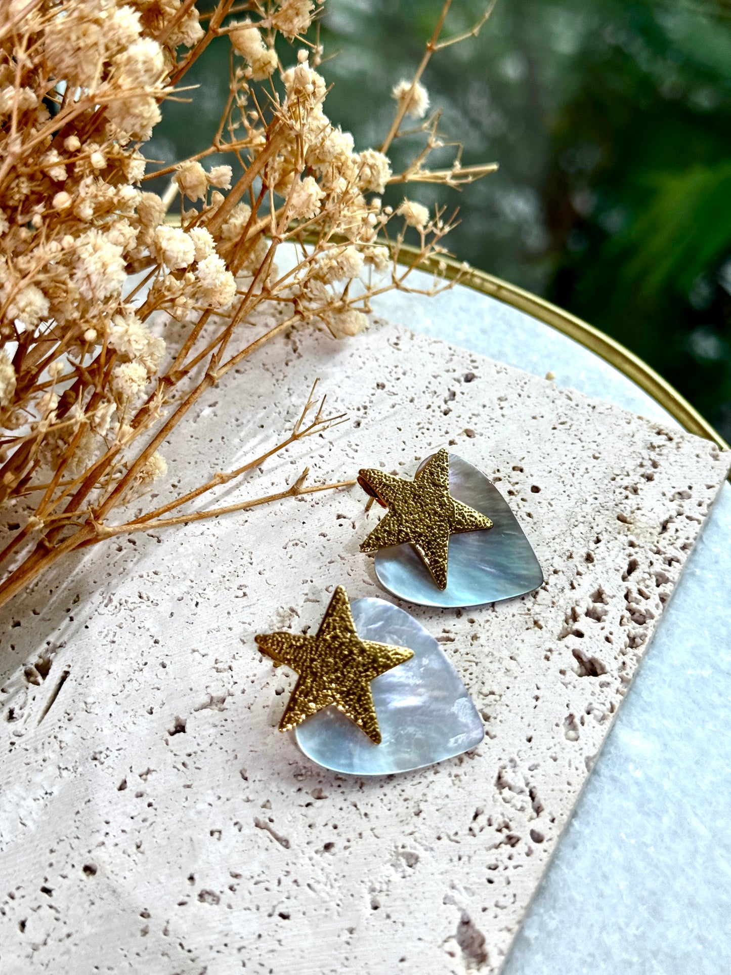 Star Shell Earrings