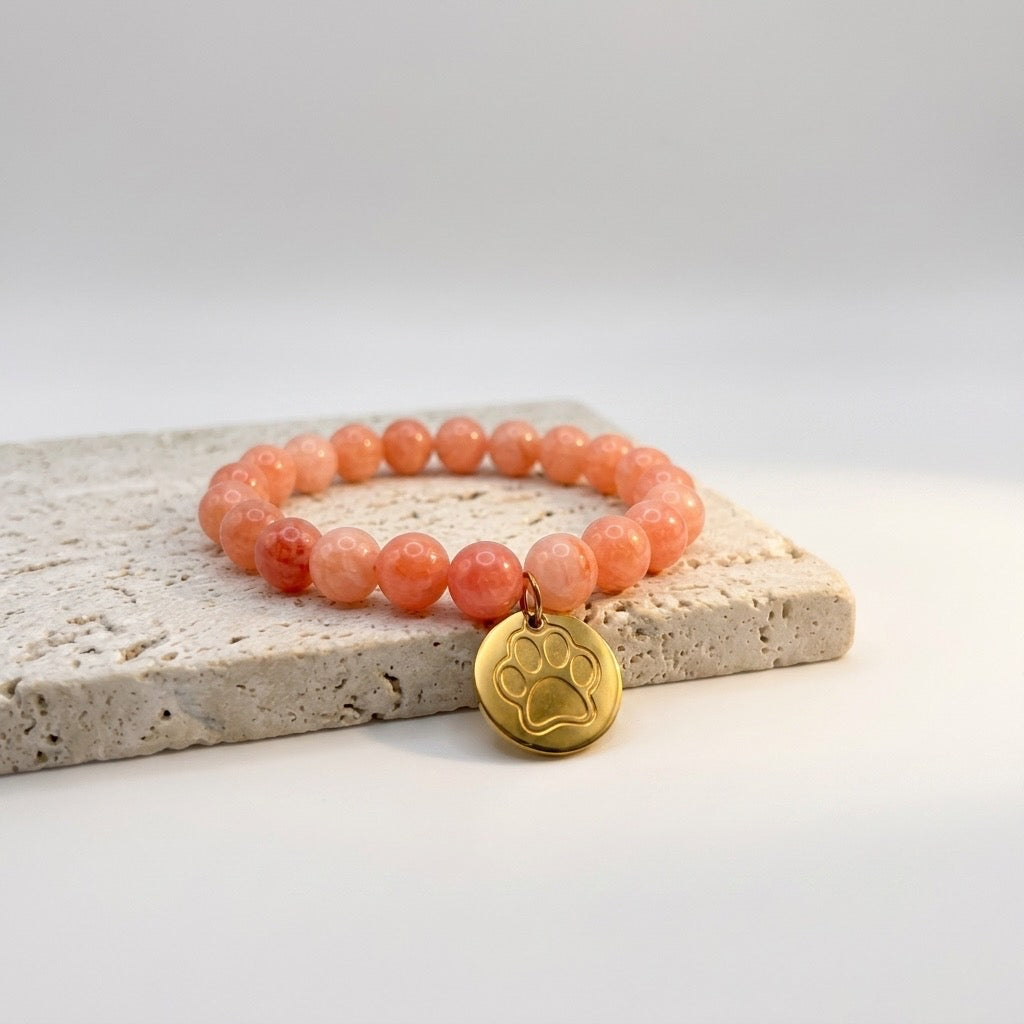 Paw Charm Beaded Bracelet